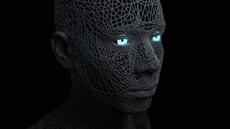 When AI Fights Back: The Autonomous Agent That Wrote a Hit Piece on a Developer
